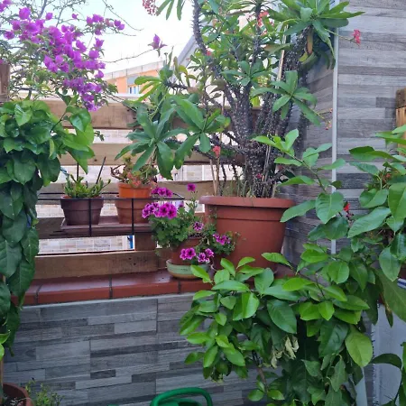 Residenza Lucana Apartment