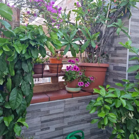 Apartman Residenza Lucana *